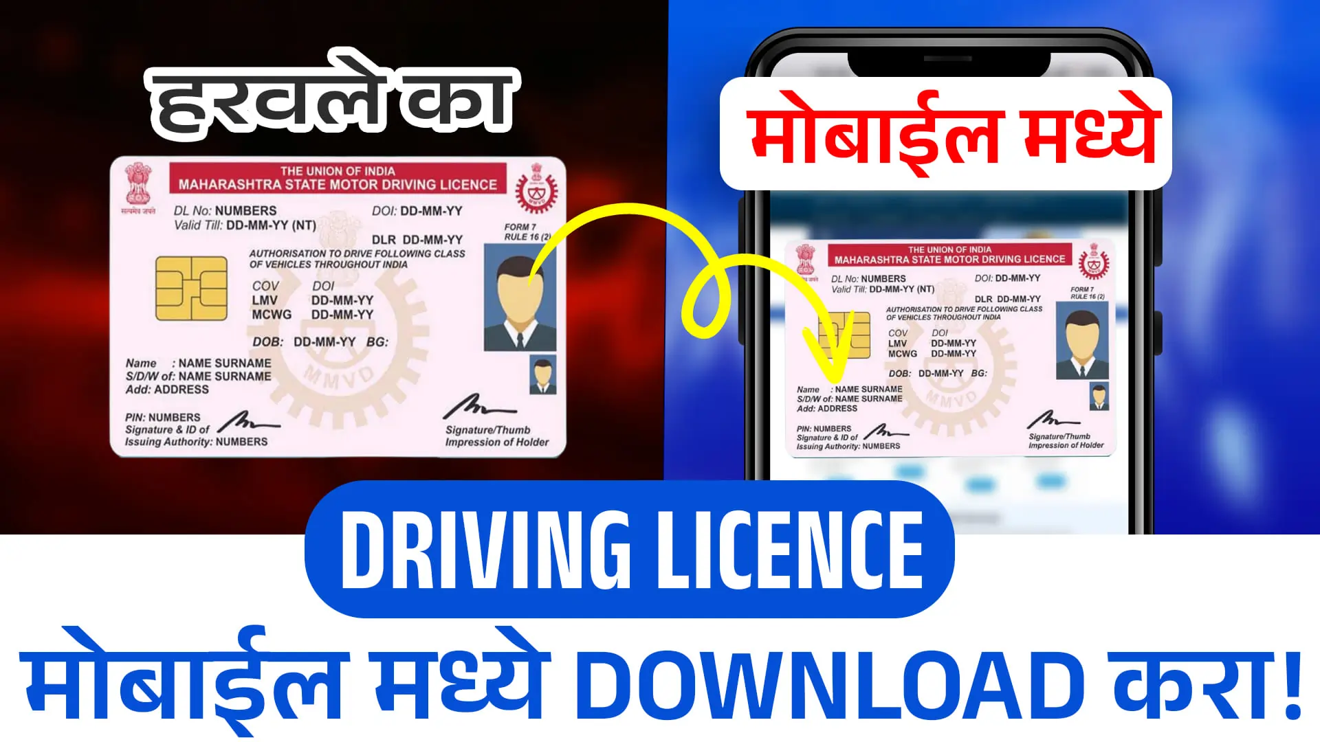 Driving Licence Download